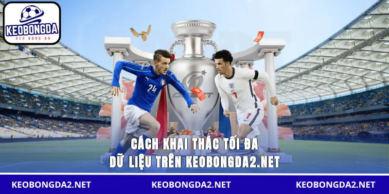 Cách khai thác tối đa dữ liệu trên keobongdachauau.com