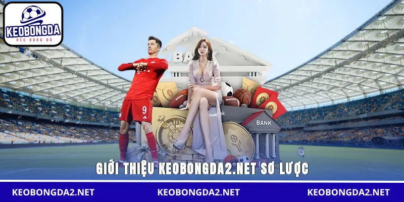 Giới thiệu keobongdachauau.com sơ lược