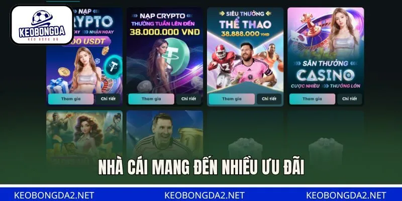 Nhà cái mang đến nhiều ưu đãi