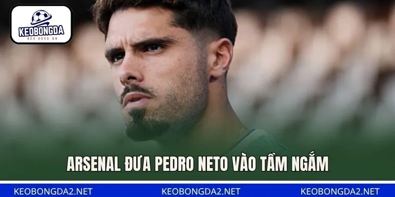 Arsenal đưa Pedro Neto vào tầm ngắm