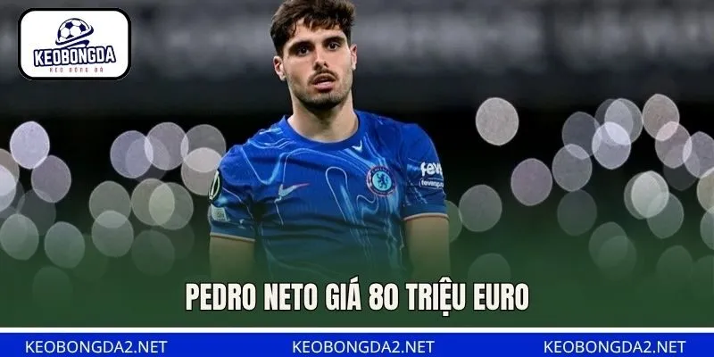 Pedro Neto giá 80 triệu euro