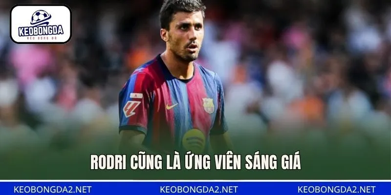 Rodri cũng là ứng viên sáng giá
