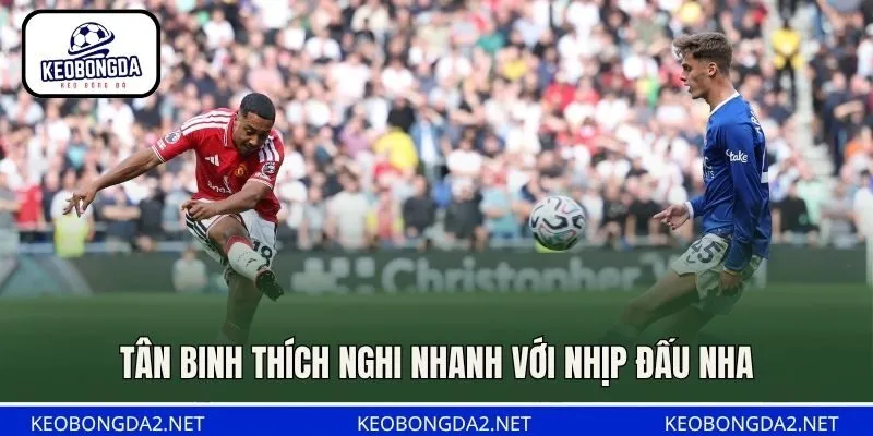 Tân binh thích nghi nhanh với nhịp đấu NHA