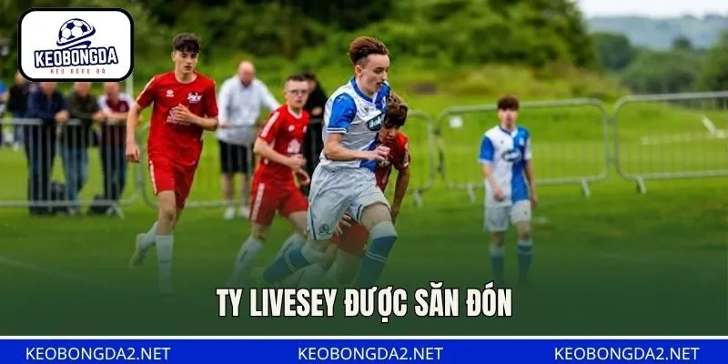Ty Livesey được săn đón